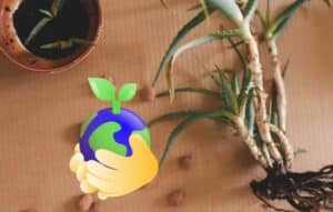 Tu aliado digital para un jardín saludable