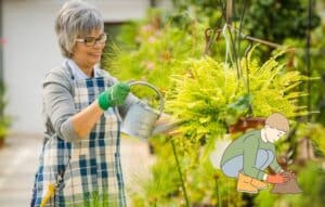 Transforma tu jardín