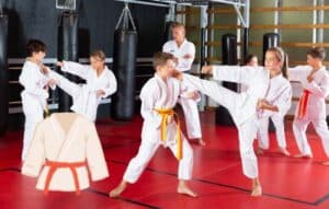 Karate en tus manos: técnicas y combate